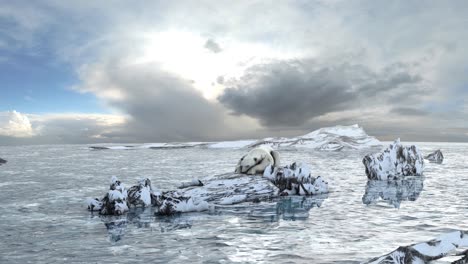 polar bear on melting ice