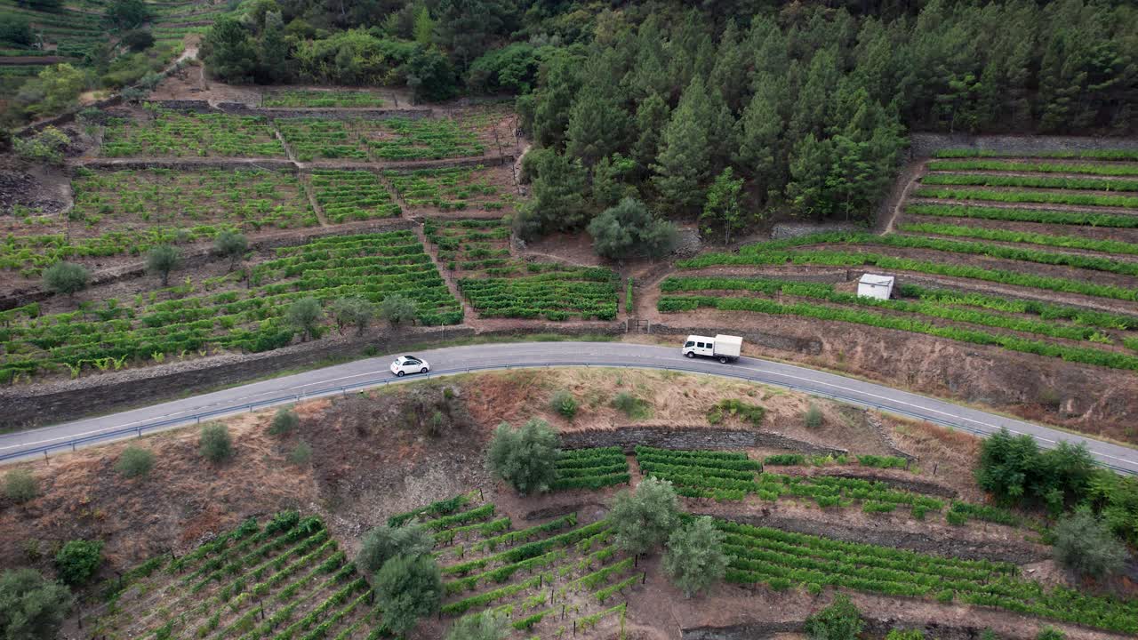 Small car driving on mountain road between vineyard terraces, Portugal
