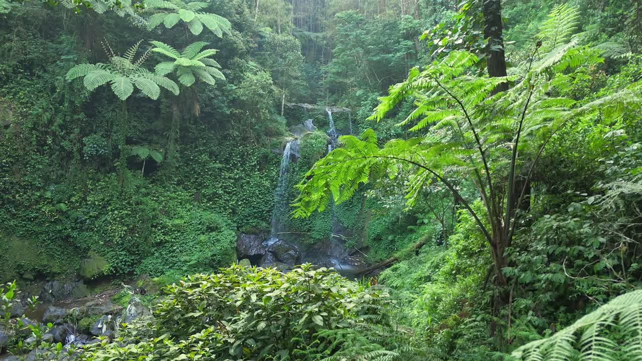 Drone flying forward capture serene view of multiple waterfalls streaming down mossy cliffs in a vibrant tropical rainforest. Grejegan Kembar Waterfall, Indonesia