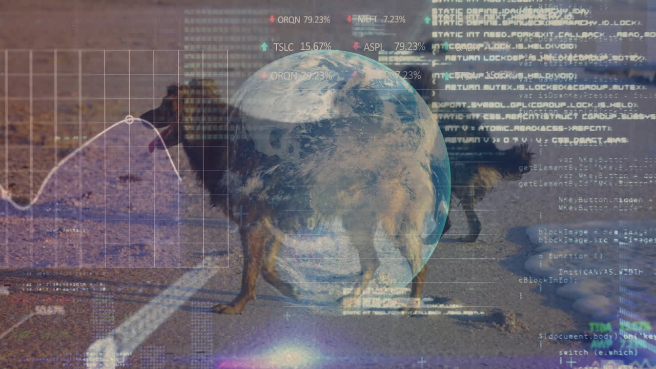 Earth and financial data animation over dogs walking on street