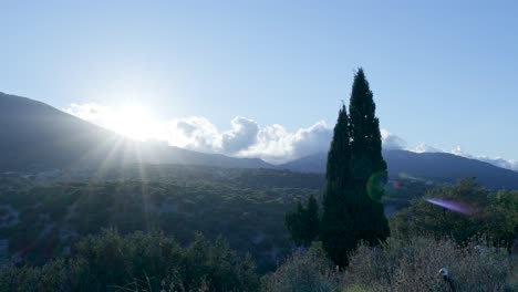 sunrise over mountains and trees