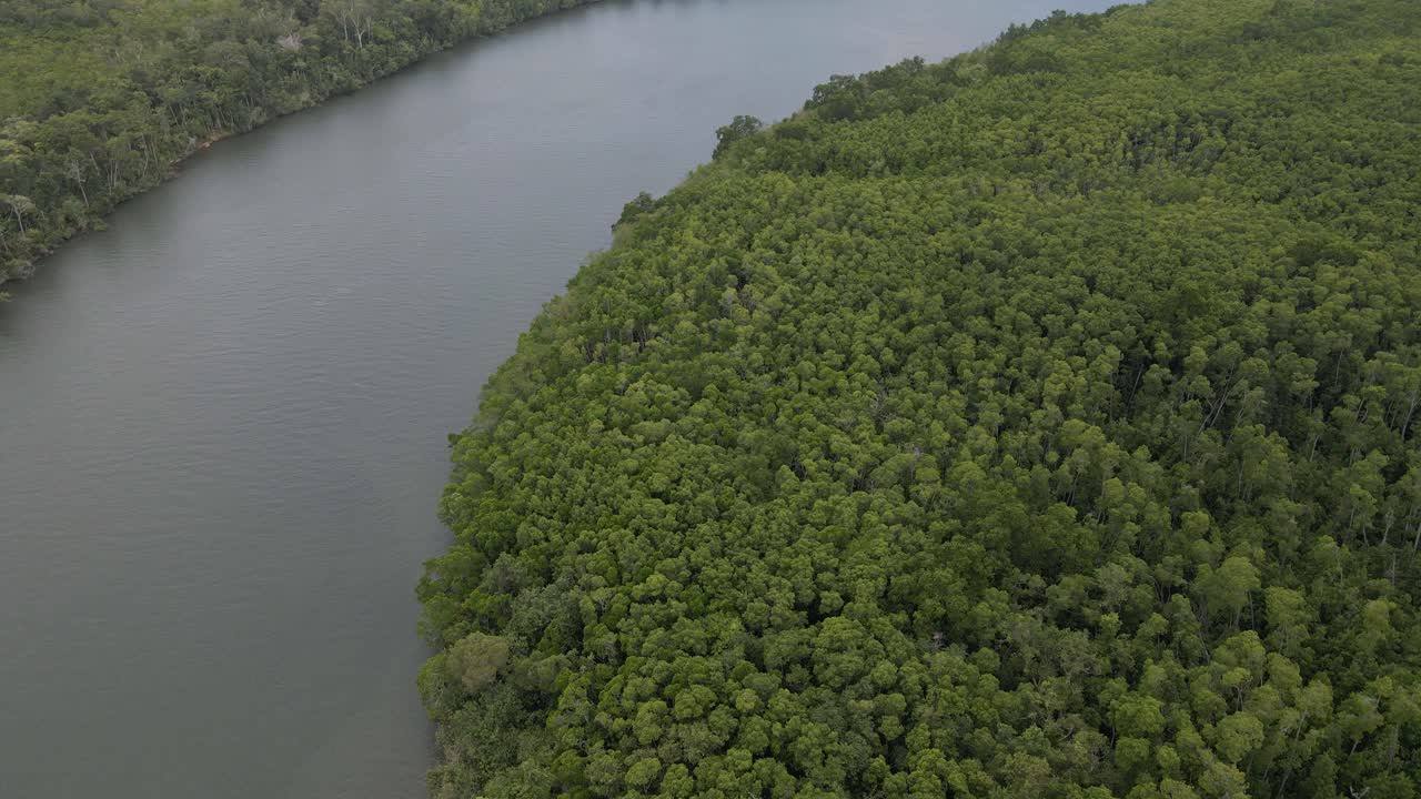 호주 퀸즐랜드에 있는 데인트리 국립공원의 빽빽한 열대우림