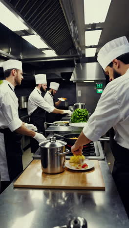 professional chefs cooking in a restaurant kitchen