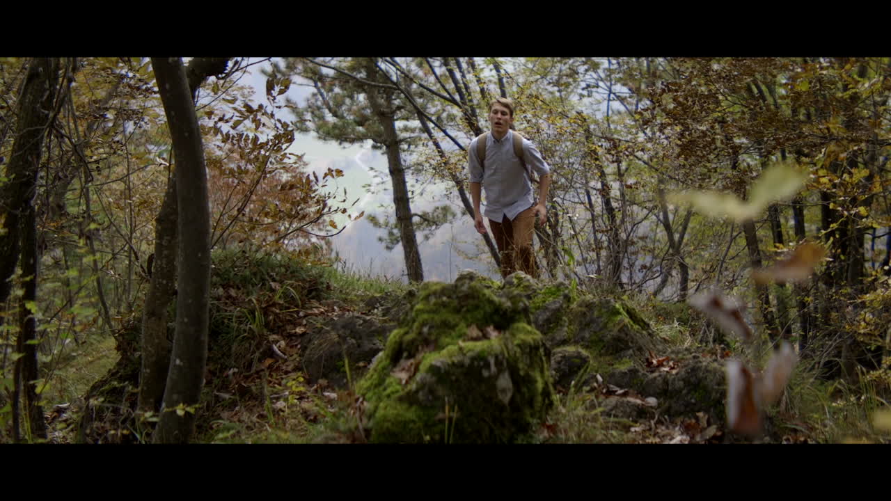 hombre caminando en el bosque