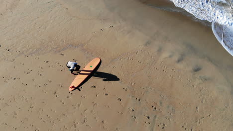dron aéreo de 4k de una surfista caminando con una larga tabla de surf y colocándola en la arena en la playa en el muelle de la playa de huntington, preparándose para golpear las olas de la mañana