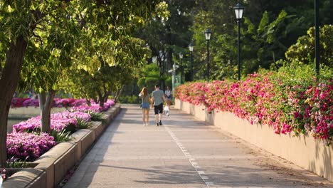 personas caminando por un camino con flores en flor