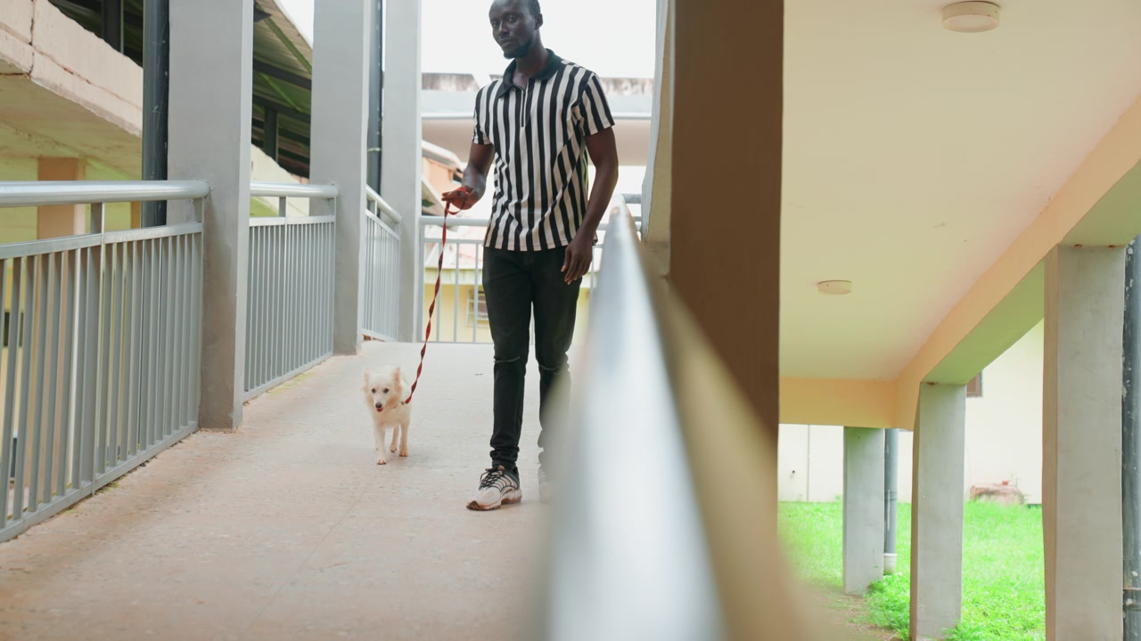 Man går med hund längs korridor i bostadshus under takutsprång, randig skjorta och jeans, rött koppel som leder liten vit valp bredvid metallräcke, lugn stadspassage med pelare och grön gräsmatta