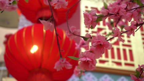 Artificial-flower-plum-blossom-with-red-lantern-background
