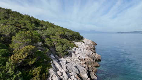 flying close to the rocky coast next to the calm sea