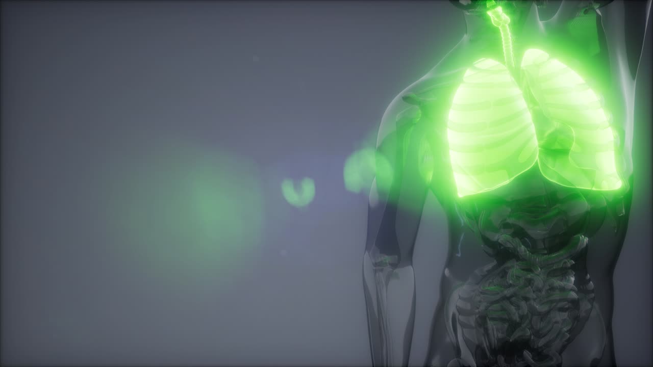 examen radiológico de los pulmones humanos