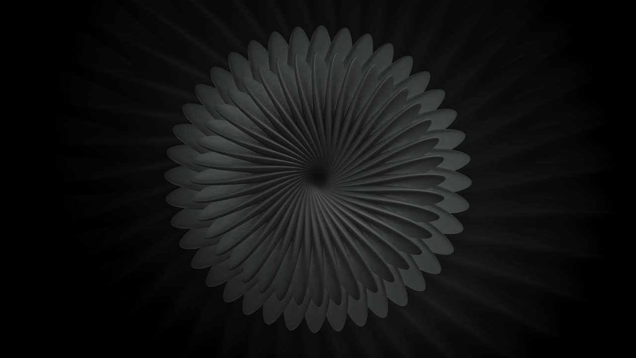 Abstract Black and White Flower
