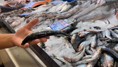 Pescado-En-El-Mercado-De-Pescado-De-Lisboa