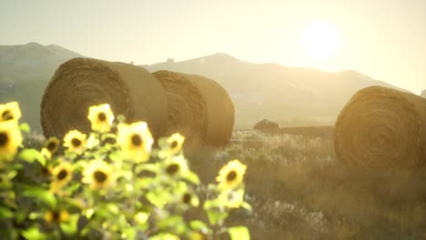 hay-bales-in-the-sunset