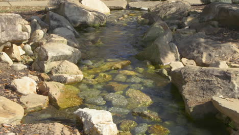 narrow freshwater stream with many smooth, rounded rocks in and around the gently flowing water