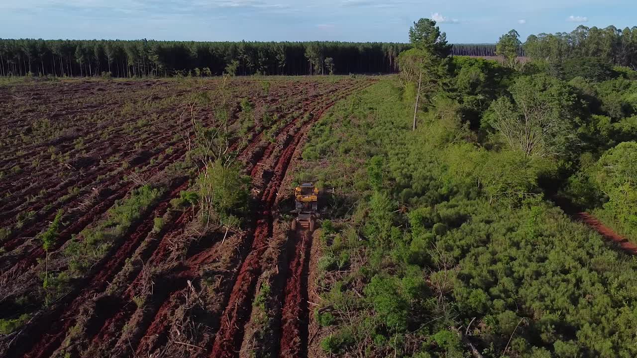 tomada aérea de aviones no tripulados de máquinas de preparación de suelo que convierten la tierra forestal en tierra agrícola de posadas en misiones argentina