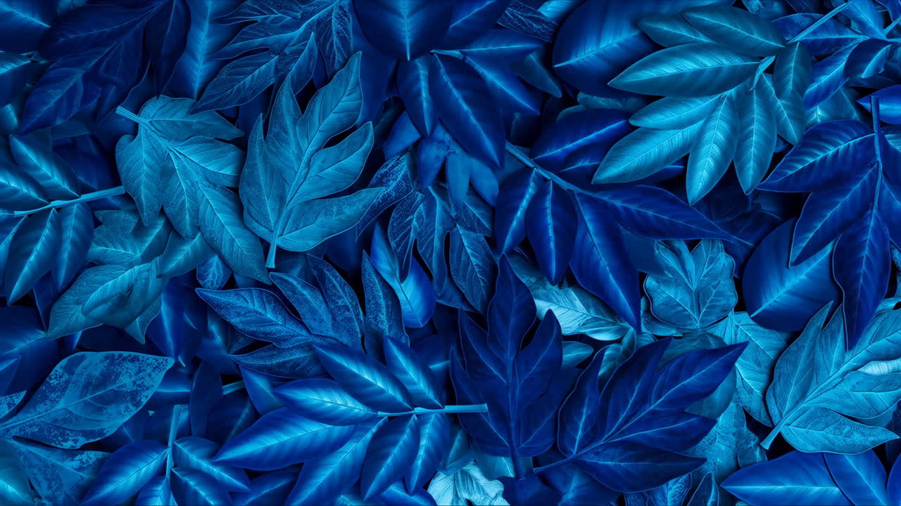 Blue Toned Leaf Pattern Background
