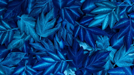blue toned leaf pattern background