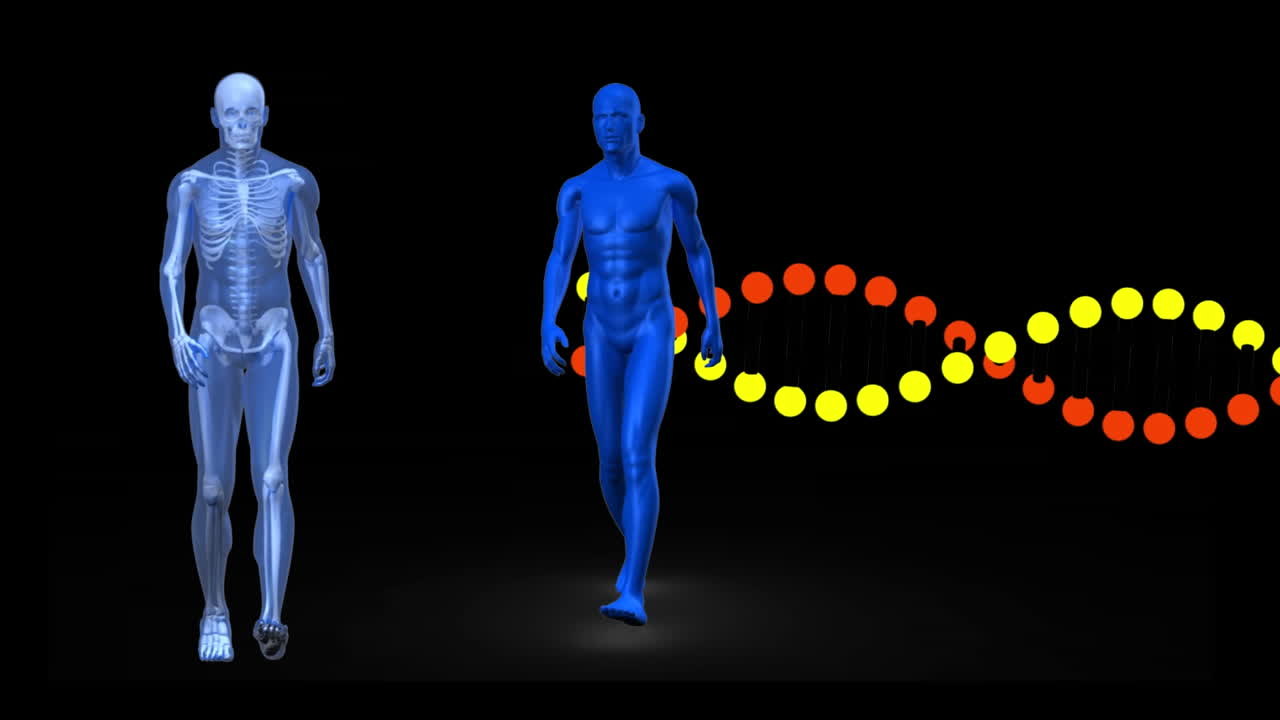 두 명의 파란색 인간 인물이  ⁇ 고 있는 dna 가닥의 애니메이션
