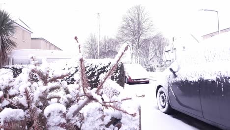 snow day in my local village