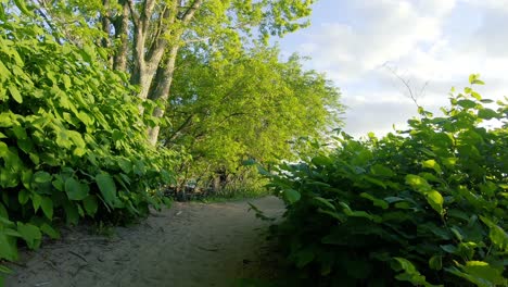 pov sandy trail next to delaware river palmyra new jersey