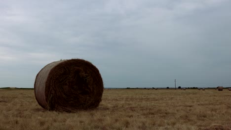 rolls of hay, haystack bales in countryside landscape