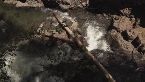 Gorgeous-Landscape---Fallen-Logs-in-the-Middle-of-Wide-River-Bank---Day