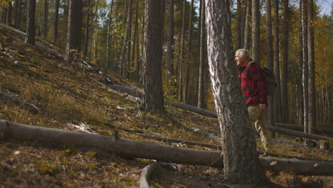 un excursionista cansado está caminando por la ladera en el bosque en un día de otoño un hombre de cabello gris está llevando una mochila y caminando solo