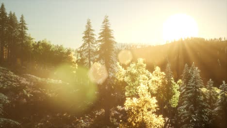 amanecer en el bosque de otoño