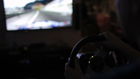 playing racing game with steering wheel simulator