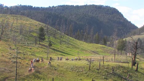 horses and riders take a pack trip through the wilderness 1