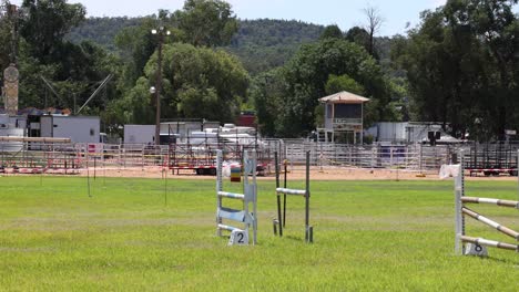 horse and rider jumping over obstacles in arena