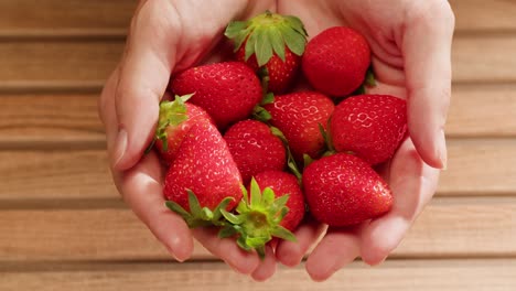 fresas en las manos