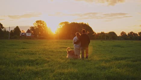Couple and dog walking in a field at sunset