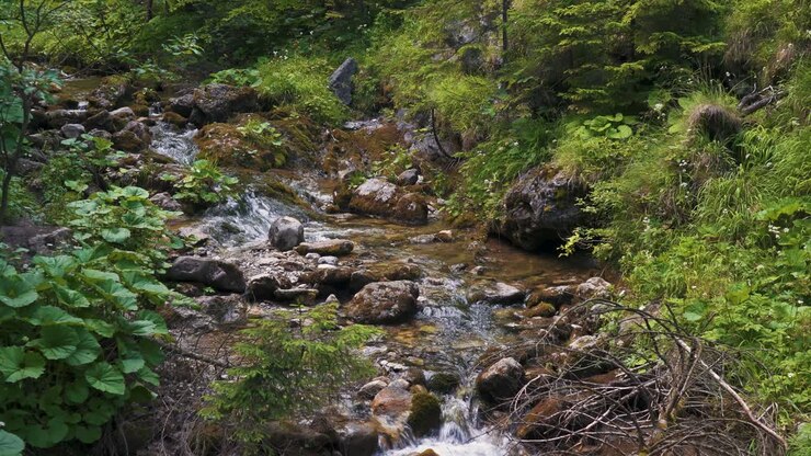 Tatra Mountain National Park Zakopane Poland