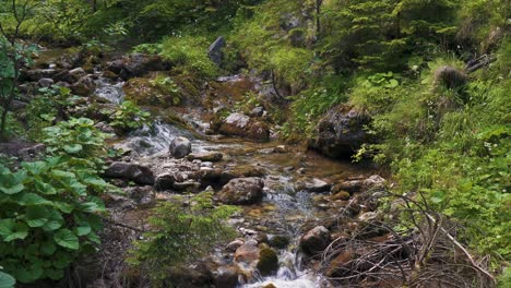 tatra mountain national park zakopane poland