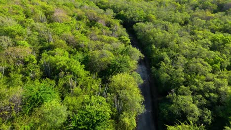 Dolly-Aéreo-Sobre-Una-Carretera-Pavimentada-En-Una-Isla-Tropical-árida,-Explorando-La-Isla-De-Curacao