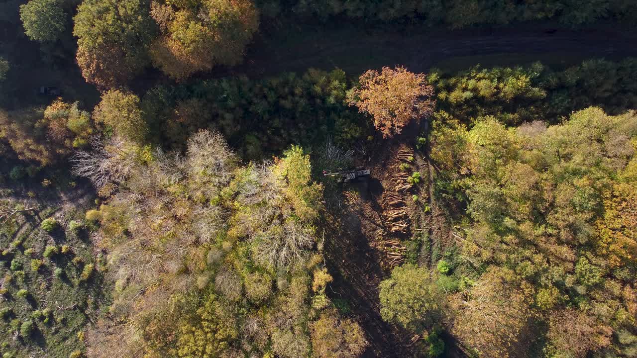 vista de drones de la deforestación que tiene lugar en el reino unido