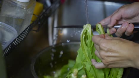 leafy green asian vegetable being washed by stream of tap water and cut by knife, filmed as closeup shot in slow motion style