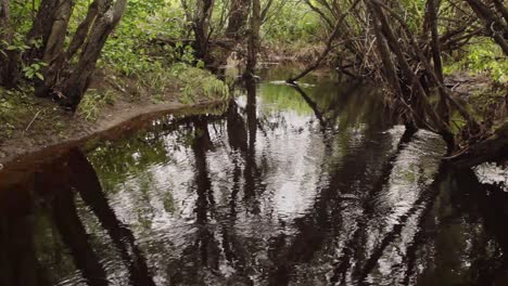 Agua-Que-Fluye-Por-Un-Curso-De-Agua-Sombreado-Por-árboles-Hacia-La-Cámara