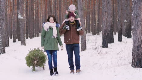 two parents with a child driving a new year tree on a sled on a snowy forest 4k video