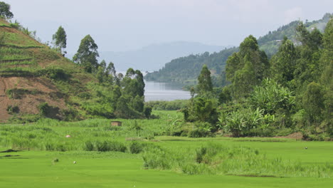 Long-shot-of-valley-floor-with-mountains-and-lake-in-background