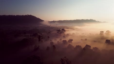 Mists-Of-Bali:-Ingrese-A-Un-Mundo-Envuelto-En-Misterio-Y-Tranquilidad,-Ya-Que-Las-Mañanas-Brumosas-En-Bali-Evocan-Un-Aura-Encantadora,-Donde-Los-Susurros-De-La-Naturaleza-Ocupan-Un-Lugar-Central