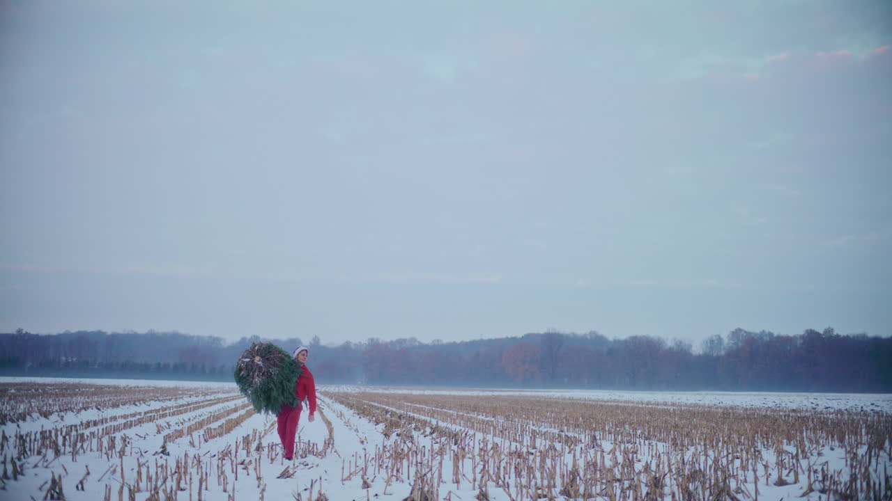 hombre llevando un árbol de navidad mientras camina por un paisaje cubierto de nieve seca