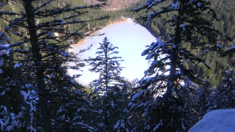 corbeaux lake france frozen water cold winter elevated point of view snow over evergreen spruce tree