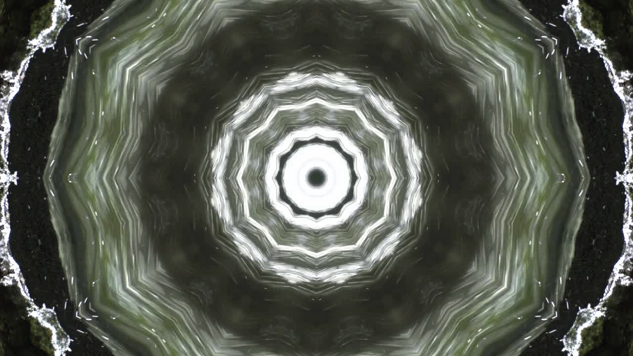 planta verde caleidoscopio en el fondo abstracto