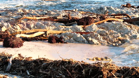 madera arrastrada y escombros del río en la playa después de una tormenta costera