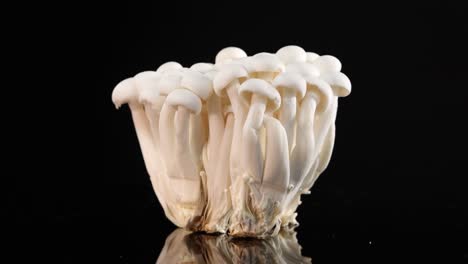 a cluster of white shimeji mushrooms is sprayed with water mist in slow motion, illuminated by dramatic studio lighting against a black backdrop