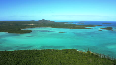 vista aérea de la isla de los pinos en la bahía de la corbeille, o bahía del cesto