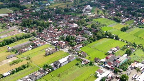 Dense-township-of-Indonesia-and-green-rice-fields,-aerial-view