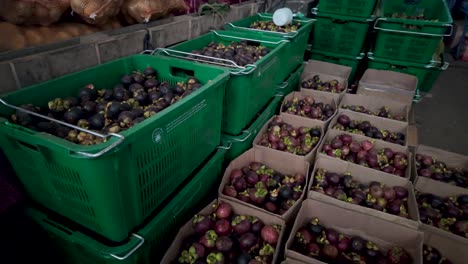 abundant fresh mangosteen fruits are organized in green crates and cardboard boxes at a bustling market in sri lanka, showcasing a vivid scene of local produce and trade.